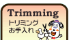 �g���~���O