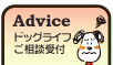 �A�h�o�C�X