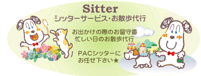 �V�b�^�[�T�[�r�X