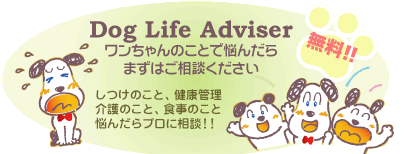 �h�b�O���C�t�A�h�o�C�U�[