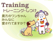 �g���[�j���O