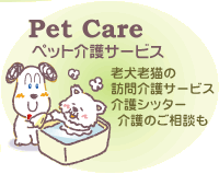 �y�b�g���