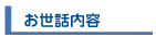 �����b���e